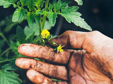 Don't Miss our Compost Bin Workshop. Tomorrow!!