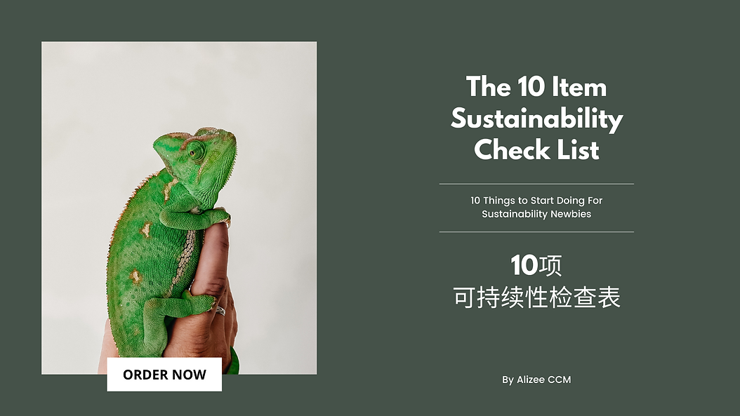 10 item product banner.png