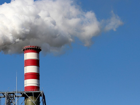 Go-go: YOUR SUSTAINABILITY TRAINING PROGRAM OF 2021.