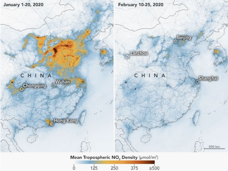 Climate Crisis vs COVID-19: where is our conversation going?