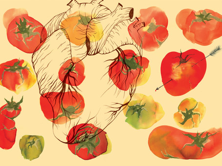 BREAKING NEWS: Real tomatoes are ugly! A new ZW free webinar series. 爆炸新闻：真正的番茄不好看！五R零最新webinar系列