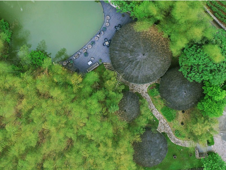 Ecotourism: our pick selection near Shanghai