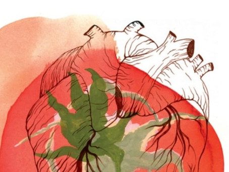 Real Tomatoes Are Ugly: going beyond food waste.真正的番茄不好看：不只是食物浪费