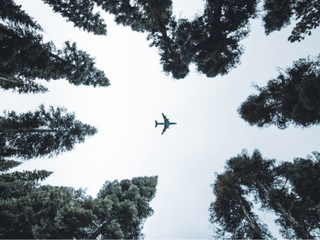 5 top sustainability trends for 2020
