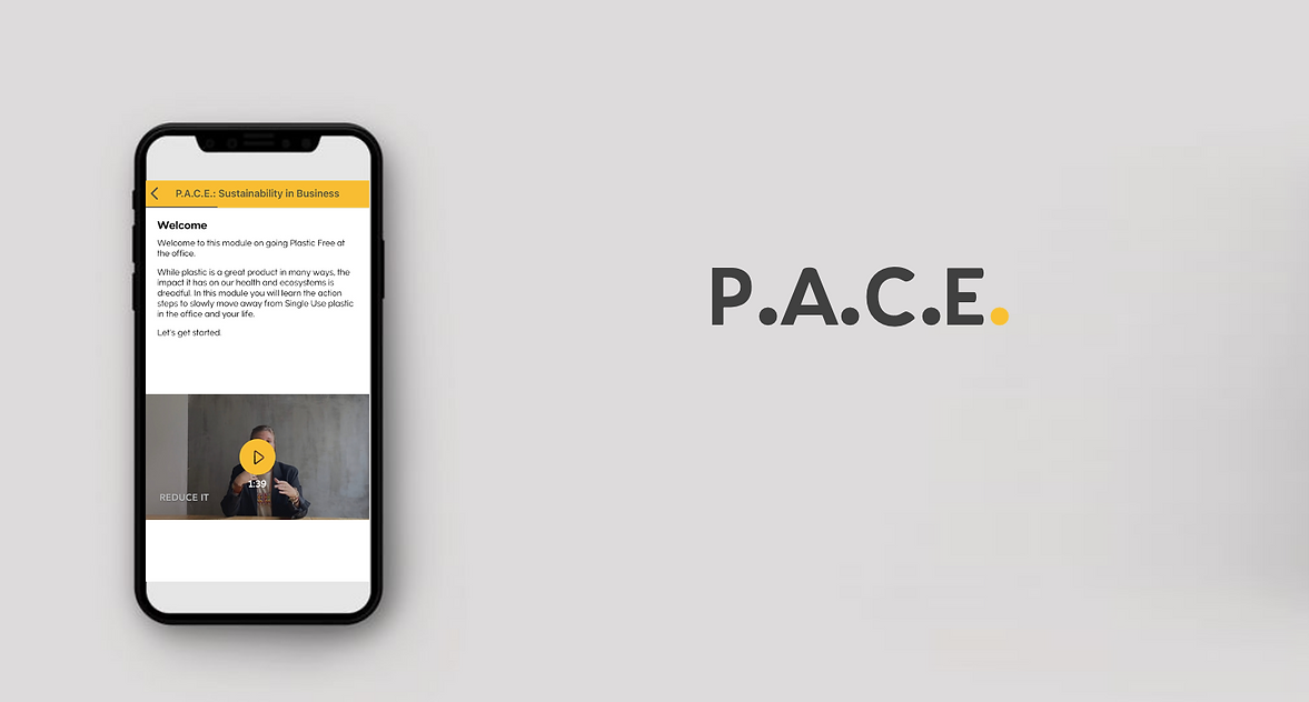 pace_background.png